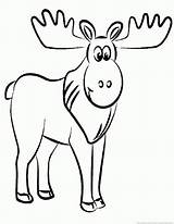 Moose Animal Coloring Pages Print sketch template