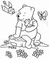 Pooh Ausmalbild Hase Coloringhome Poo Butterfly Malvorlagen Dibujos Ourson Sunflowers Zoeken Winni Tiger Ocelot Kinderzimmer Schablonen Fensterbilder Hochzeit Ausmalen Wenn sketch template