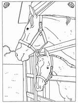 Paarden Kleurplaten Kleurplaat Volwassenen Volwassen Paard Uitprinten Downloaden Terborg600 sketch template