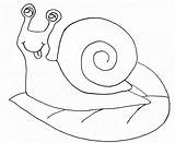 Snail Schnecke Siput Caracoles Mewarnai Ausmalbilder Daun Clipart Continents Diatas Paud Hitam Putih Ubi Malvorlagen Outline Coloringhome sketch template