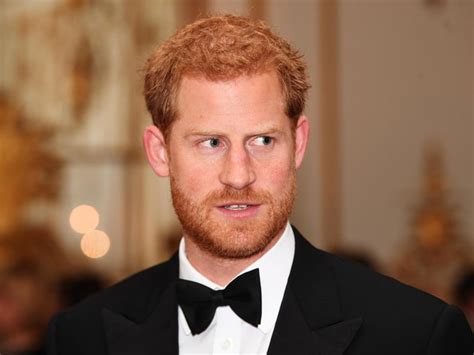 prince harry disputes claims  conflict  interest  royal