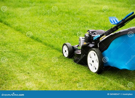 lawn mower   garden stock image image   herb