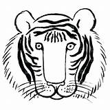 Tiger Coloring Bengal Getdrawings sketch template