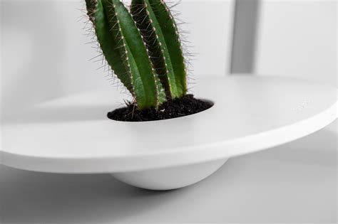 corian sukkulenten kaktus uebertopf minimalistischer etsyde