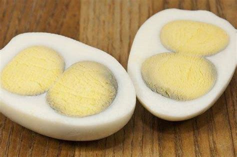Makan Telur Rebus Dengan Kuning Telur Yang Kehijauan Disebut Berbahaya