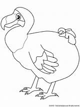 Dodo Kolorowanki Pajaro Ptaki Kiwi Strusie Emu Template Dzieci Oiseau Oiseaux Dronte Designlooter Mauritius Gera sketch template