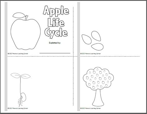 printable apple tree life cycle worksheet printable word searches