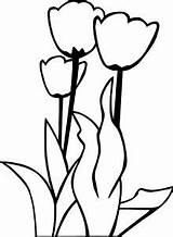 Tulips Wecoloringpage sketch template