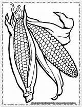 Coloring Pages Corn Printable Indian Ear Drawing Stalk Cob Field Color Outline Kids Print Getdrawings Getcolorings Children Sorted Knowing Alphabetically sketch template
