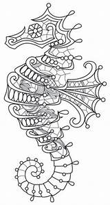 Coloring Pages Adult Patterns Adults Stencils Seahorse Embroidery Beach Paper Lighting Drawing Mandala Colouring Book Machine Burning Wood Urbanthreads Trace sketch template