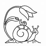 Slak Escargot Coloriage Escargots Kleurplaat Slakken Lumache Caracol Nil Gifgratis Prend Ton Huisje Dona sketch template