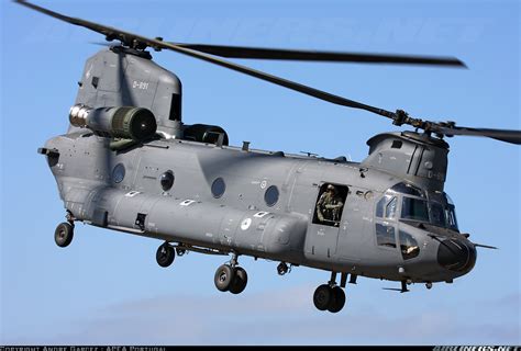 boeing ch  chinook  netherlands air force aviation photo  airlinersnet