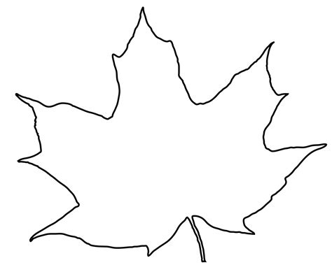 leaf outline images preview clear outline lea hdclipartall