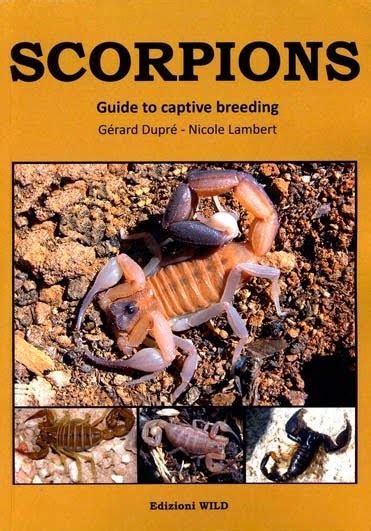 The Scorpion Files Newsblog A New Scorpion Book For The Hobbyist