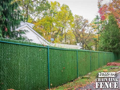 vps decorative slats hedge eastern chain link fence