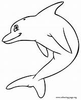 Dolphin Template Coloring Jumping Friendly Dolphins Cartoon Drawing Print Templates Colouring Color Animal Printable Pages Clipartmag Shapes Drawings Popular Animals sketch template