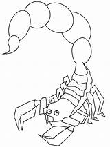 Scorpion Kolorowanki Skorpion Dla Poisonous Scorpions Gaddynippercrayons sketch template