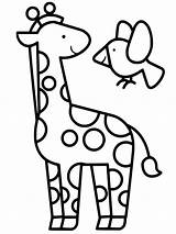Girafe Maternelle Giraf Kleurplaat Coloriages Eenvoudige Kleurplaten Leukekleurplaten Ausmalbild Enfants Hoofd Buzz2000 Bébé Meilleur Album Gratuits Kleur Besteausmalbilder Leuke één sketch template
