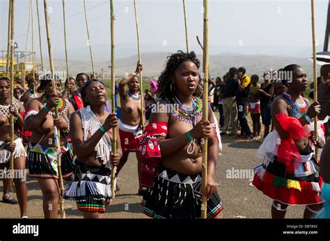 zulu maidens deliver reed sticks to the king zulu reed dance at