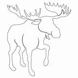 Moose Template Pattern Single Head Crafts Sweetdreamsquiltstudio Outline Templates Patterns Stencil Painting Drawing Height Default Decor Printable Antlers Fartsy Artsy sketch template