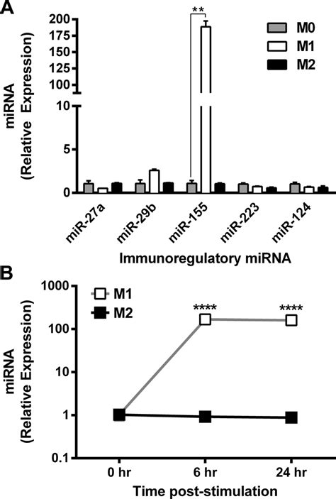 mir 155 is associated with the classically activated macrophage