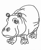 Coloring Pages Hippopotamus Hippo Kids Popular sketch template