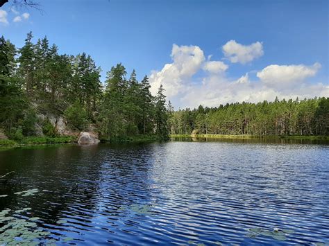 schweden natur natureza foto gratuita  pixabay