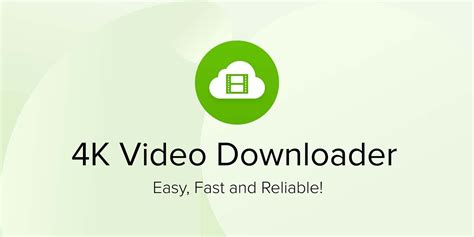 chrome video downloader pklke