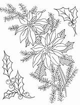 Christmas Poinsettia Coloring Embroidery Patterns Drawing Line Hand Pointsettia Pages Printable Holly Vintage Pattern Designs Drawings Floral Machine Print Pine sketch template