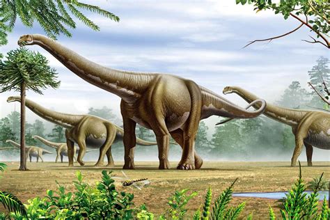 mass extinction allowed dinosaurs  thrive study reports nature world today
