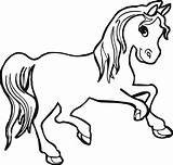 Equine 101activity sketch template