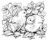 Coloring Stamps Rubber Pages Chicks sketch template