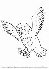 Gruffalo Owl Draw Drawing Step Cartoon Drawingtutorials101 Characters Tutorials Child Painting Activities Getdrawings Learn Drawings Animal Owls источник Choose Board sketch template