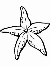 Starfish Coloring Pages Fish Print sketch template