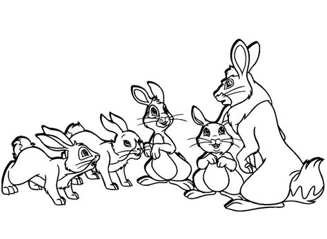 coloring page rabbit animal coloring pages