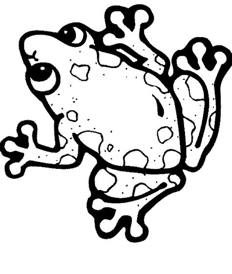 print  frog coloring pages theme  kids