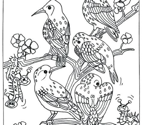 birds  flowers coloring pages  getdrawings