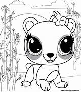 Coloring Colorat Littlest P41 Panda Special Planse Primiiani Desene sketch template