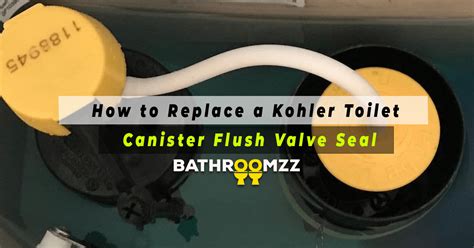 How To Replace A Kohler Toilet Canister Flush Valve Seal