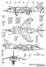 Harrier Gr1 Aviones Harriers Av8 Hawker Combate Aerofred Blueprints Plan Gr7 Airplanes Airplane Blueprintbox Española Armada sketch template