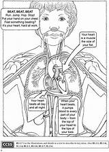 Sheets Biologist Dover Doverpublications sketch template