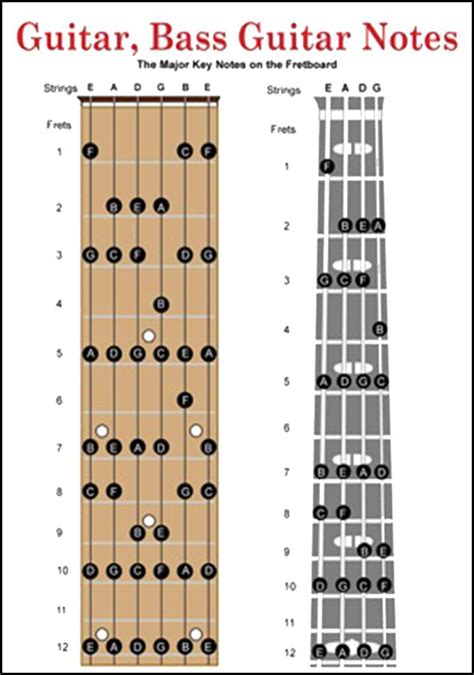 Basic Bass Guitar Chords Pour Android Téléchargez L Apk