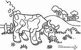 Vache Coloriages Taureau Colorier Vaches Rit Chezcolombes Vaca Incroyable Jolie Ohbq Ligne Afficher Réelle Lưu sketch template