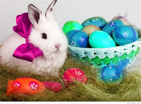 happy easter bunny wallpapers  quotes