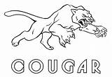 Cougar Coloring Pages Print sketch template