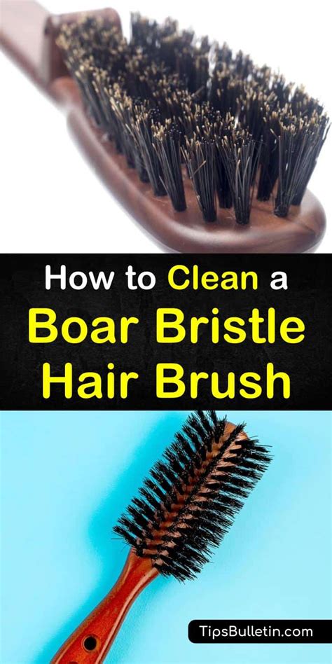 clean  boars hair brush hitechgenie