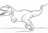 Dinosaur Tyrannosaurus K5 Tsgos Trex sketch template