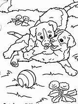 Coloring Puppy Pages Dog Lab sketch template
