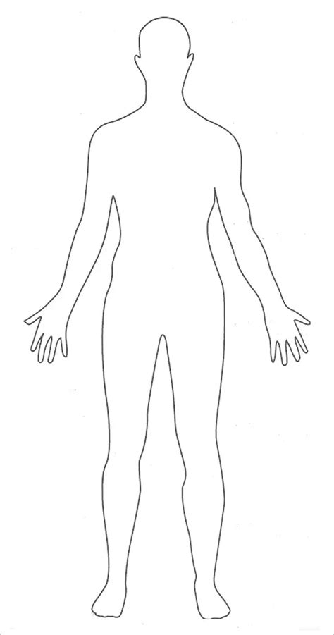 human body templates    body template body outline