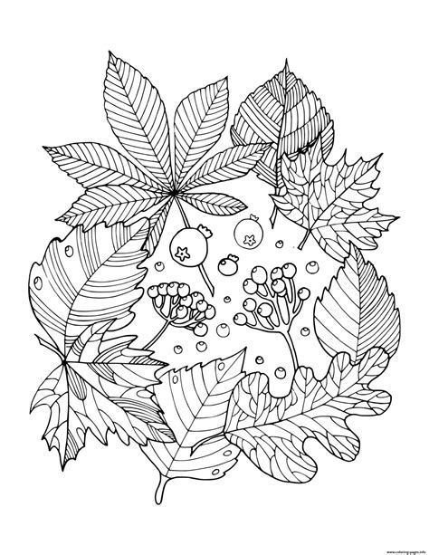 autumn flowers coloring pages coloring pages